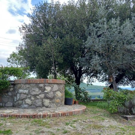 Agriturismo Riparossa Allerona Exteriör bild