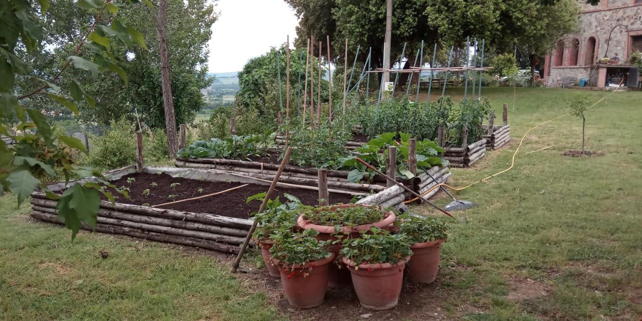Agriturismo Riparossa Allerona Exteriör bild