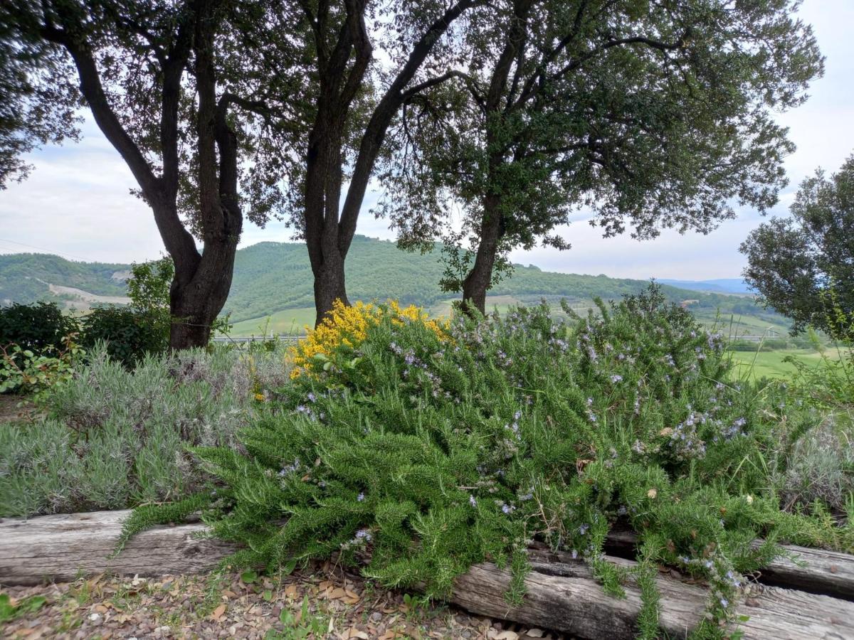 Agriturismo Riparossa Allerona Exteriör bild