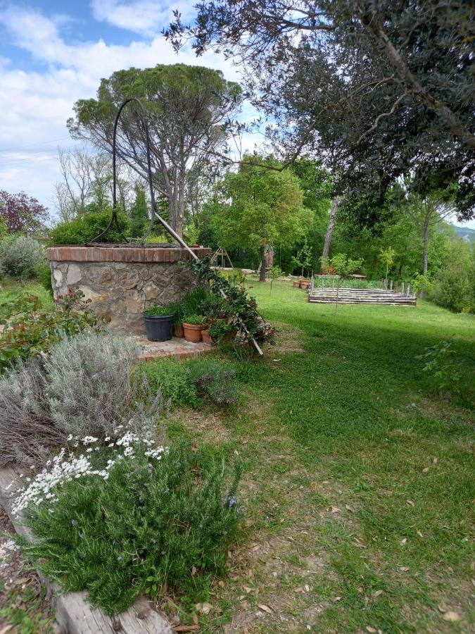 Agriturismo Riparossa Allerona Exteriör bild