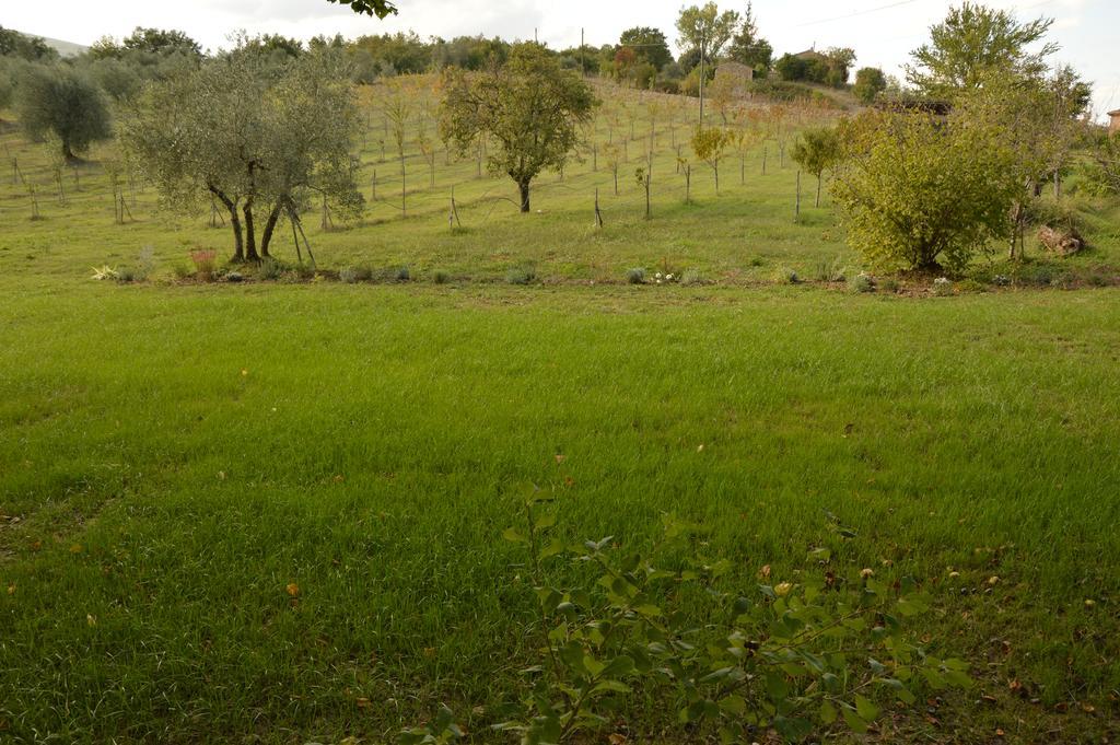 Agriturismo Riparossa Allerona Exteriör bild
