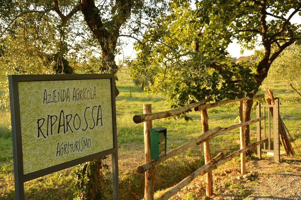 Agriturismo Riparossa Allerona Exteriör bild