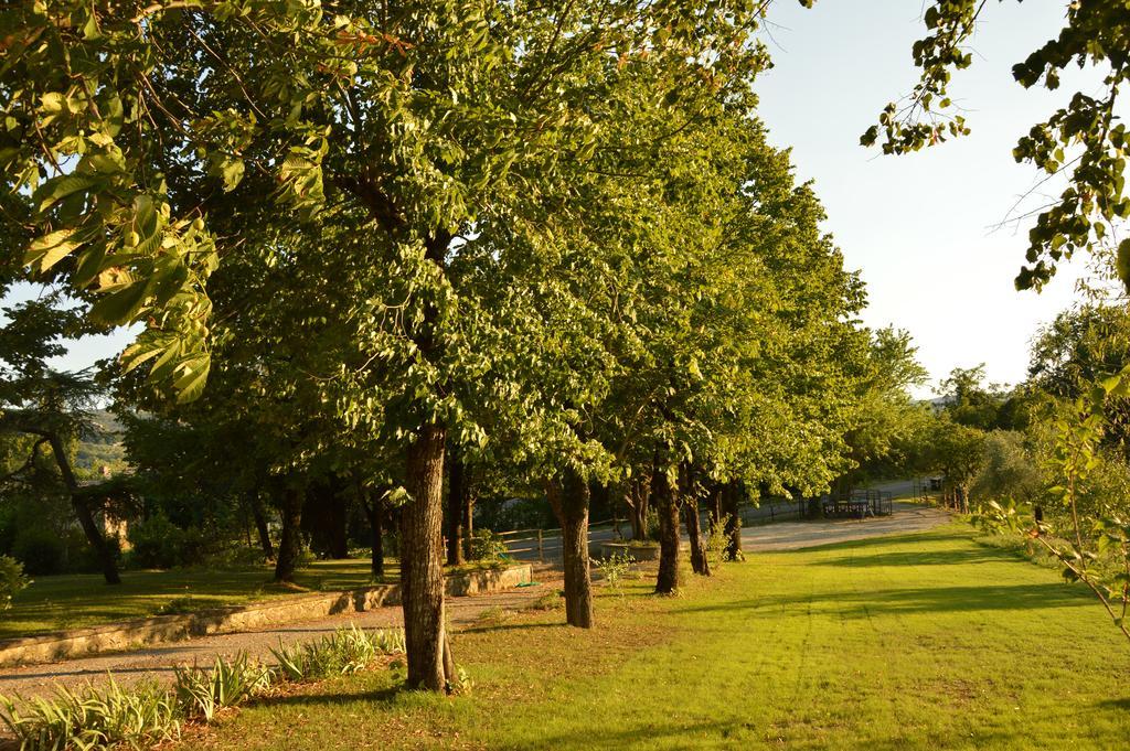 Agriturismo Riparossa Allerona Exteriör bild