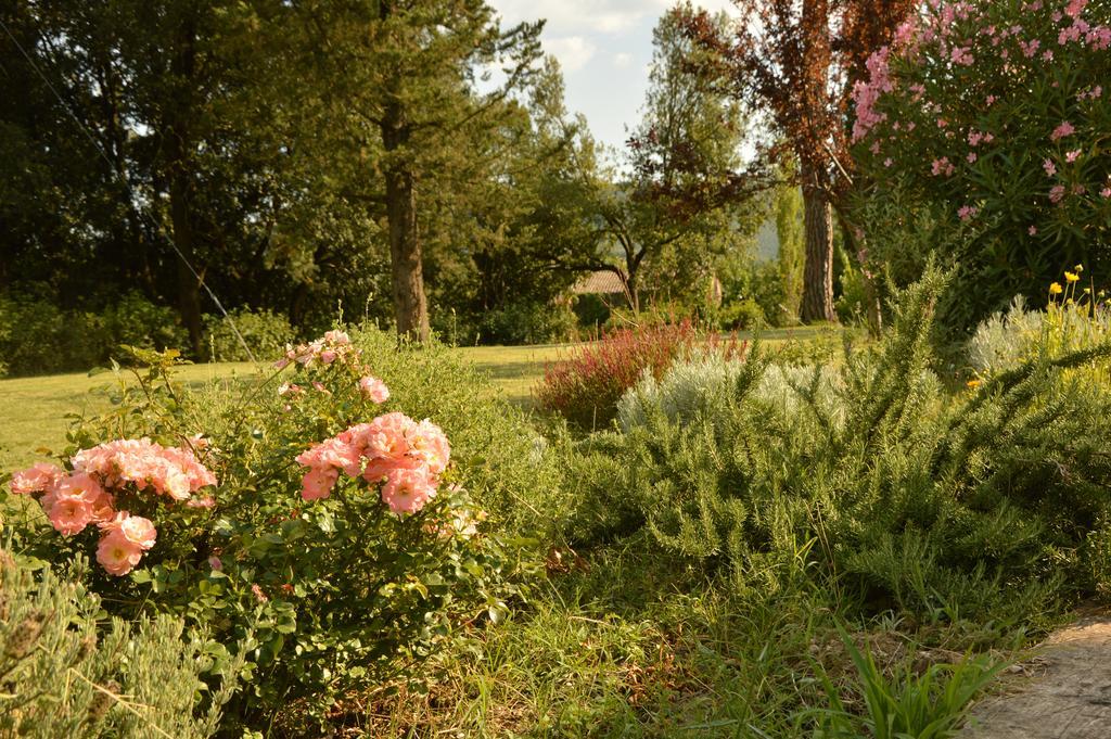 Agriturismo Riparossa Allerona Exteriör bild