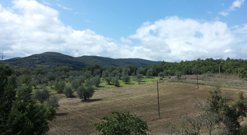 Agriturismo Riparossa Allerona Exteriör bild