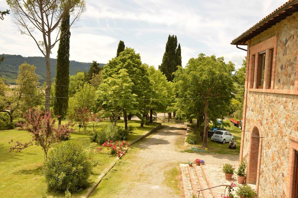 Agriturismo Riparossa Allerona Exteriör bild