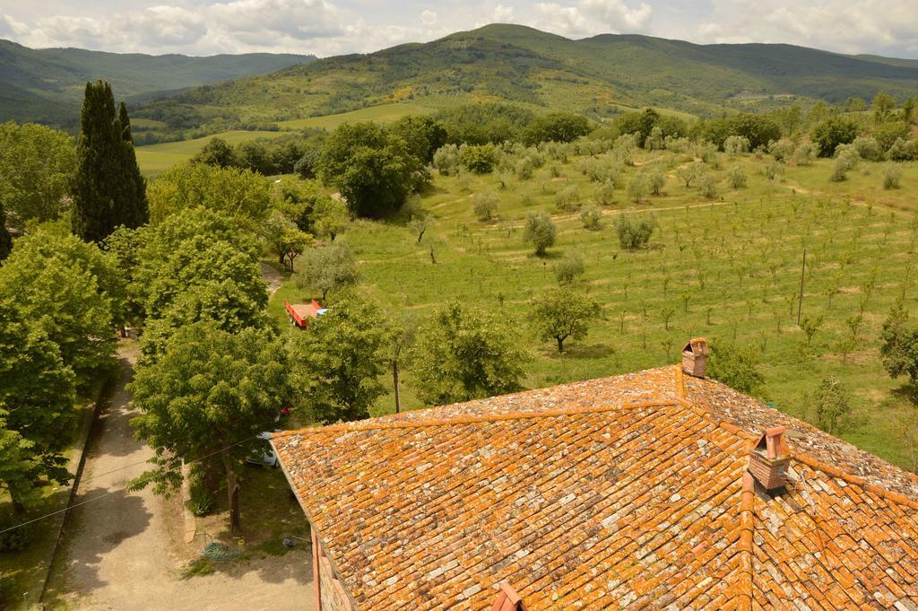 Agriturismo Riparossa Allerona Exteriör bild