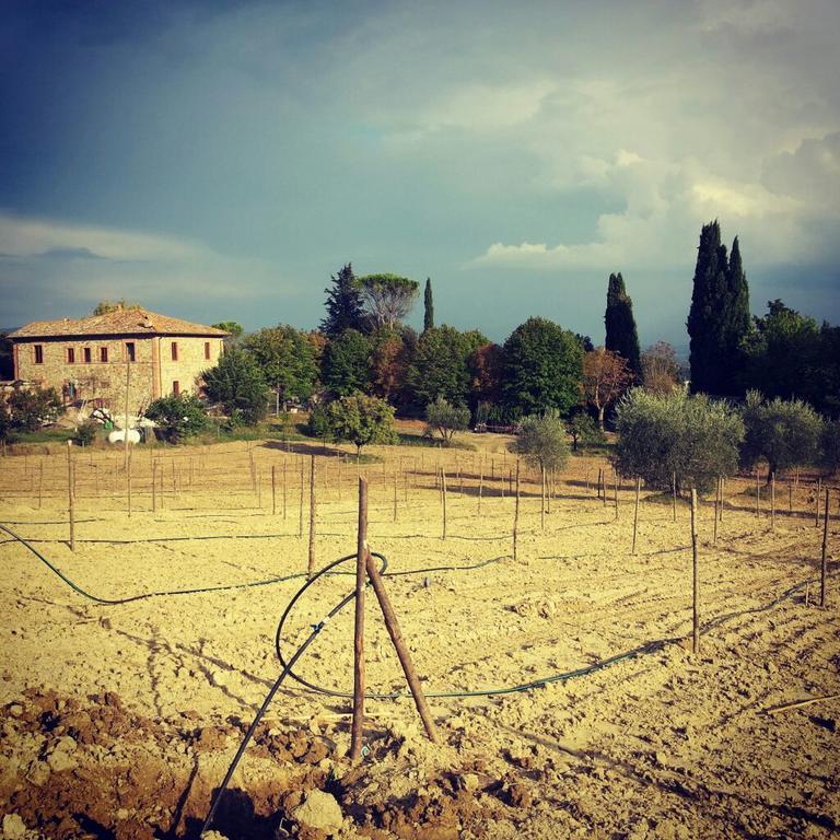 Agriturismo Riparossa Allerona Exteriör bild