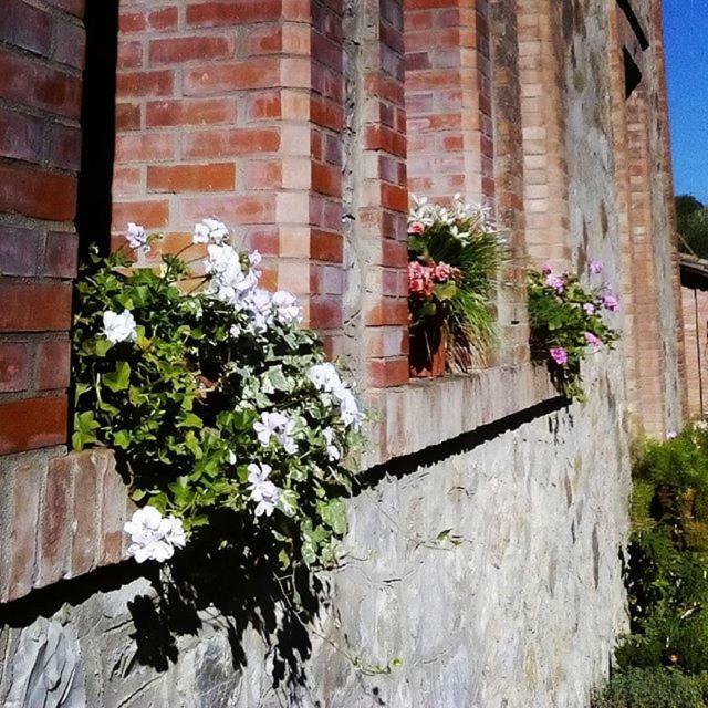Agriturismo Riparossa Allerona Exteriör bild