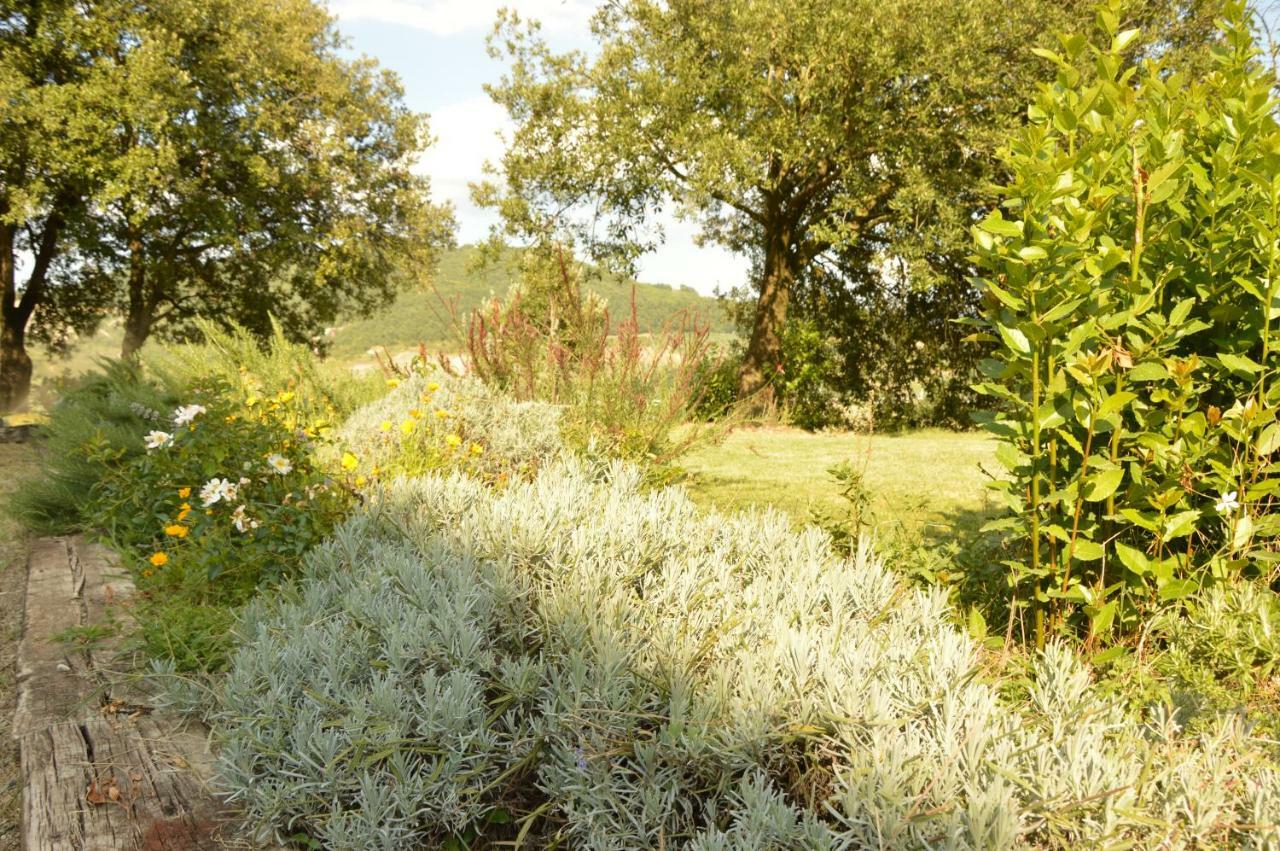 Agriturismo Riparossa Allerona Exteriör bild
