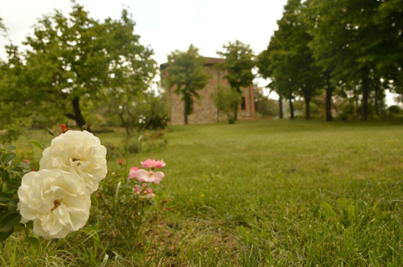Agriturismo Riparossa Allerona Exteriör bild