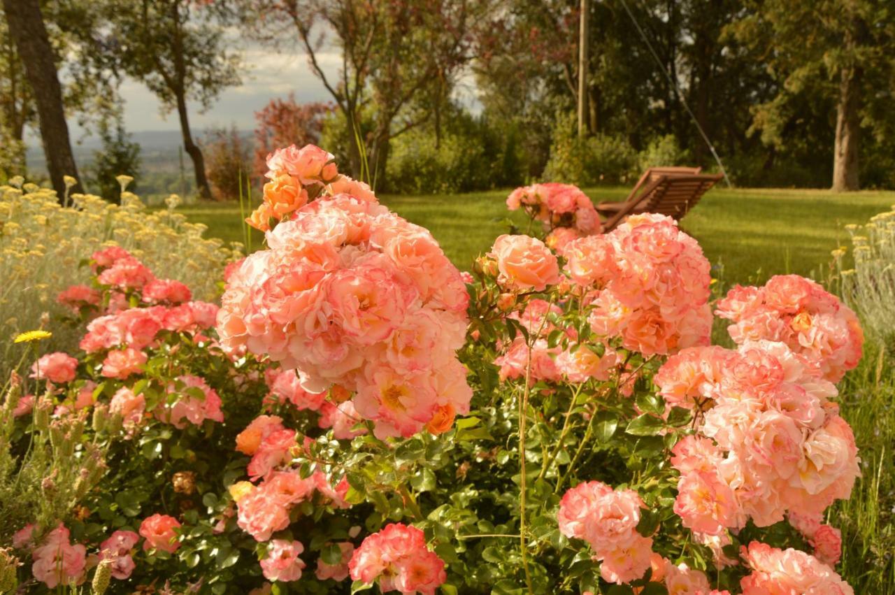 Agriturismo Riparossa Allerona Exteriör bild